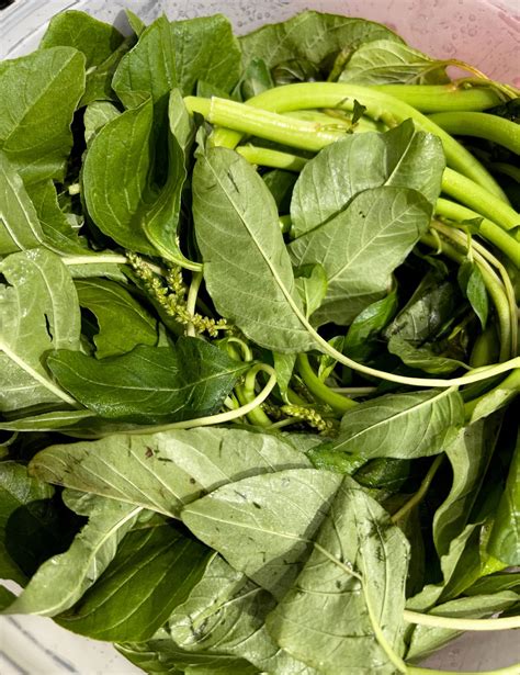 Amaranth Leaves Stir Fry With Spices