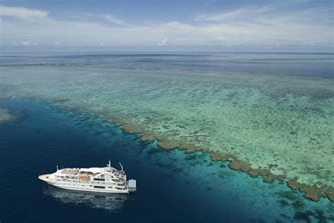 New tourism experiences in Cairns & Great Barrier Reef – Travel & Cruise Weekly