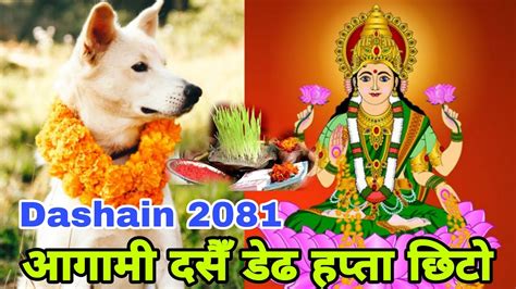 आगामी दसैँ डेढ हप्ता छिटो | Dashain 2081 | Happy Dashain 2081 Video ...