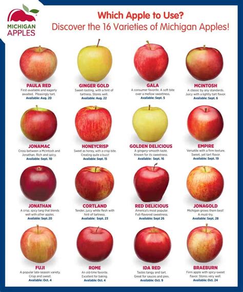 16 Types of Apples from Michigan | Healthy Family Project