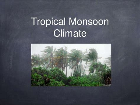 Monsoon climate