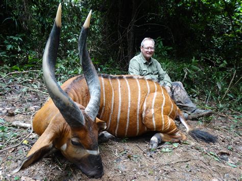 Hunting in Cameroon forest - Fauna Safari Club | Voyages de chasse