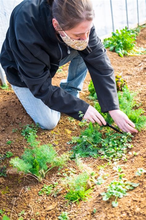 This N.C. Family Is Taking a 'Gamble' on Farming in Appalachia