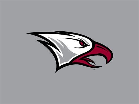 NCCU's Jones And Stinson Lost For The Season Due To Injuries