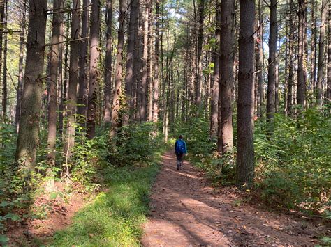 Hoosier hiking Hoosier national forest - HOOSIER HIKING .COM