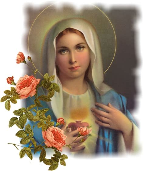 286 best images about Catholic Blessed Virgin Mary on Pinterest ...