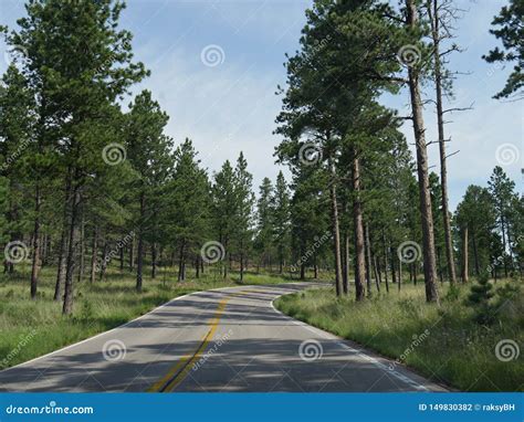 Needles Highway Scenic Drive, South Dakota Stock Photo - Image of needles, rural: 149830382