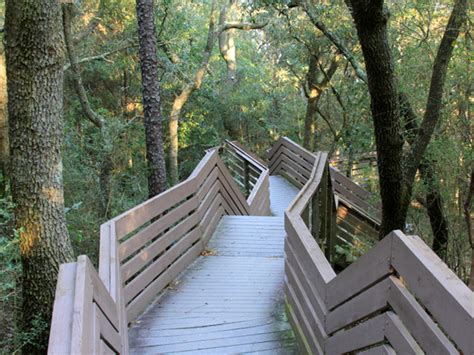 Walking Paths in Pensacola | Outdoor Gulf Coast of Northwest Florida