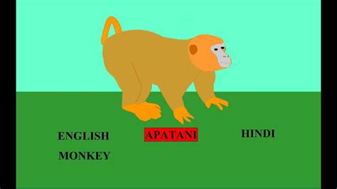 Name of the Wild Animals in Apatani Language and Dialect# Arunachal Pradesh - YouTube