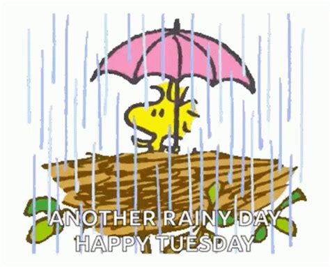 Snoopy Woodstock GIF - Snoopy Woodstock Rain - Discover & Share GIFs