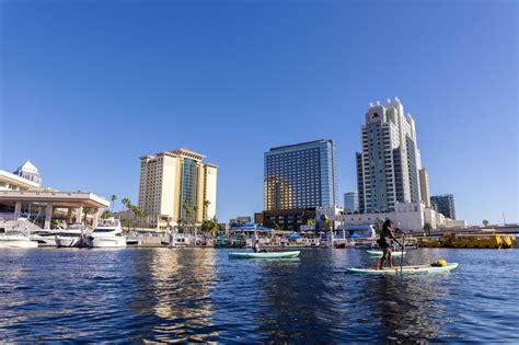 Visit Tampa Bay Reports Stellar 2022 Fiscal Year Tourism Collections