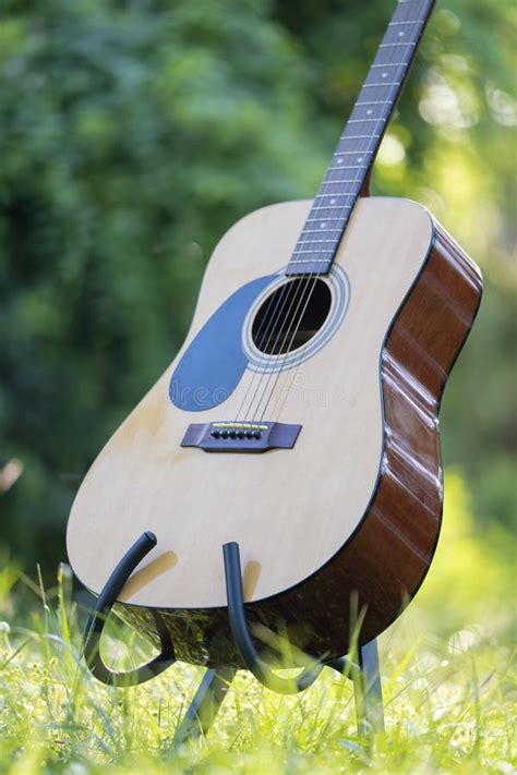 Acoustic Guitar Outdoors on Greenery Background. Concept of Calm Music ...