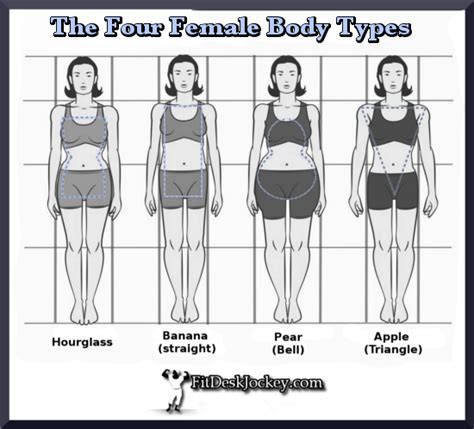 The Four Female Body Types - Fit Desk Jockey - Real Fitness For Real ...