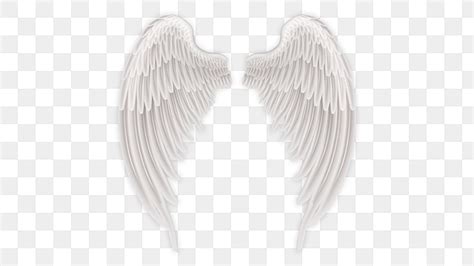 No Wings PNG Transparent Images Free Download | Vector Files | Pngtree