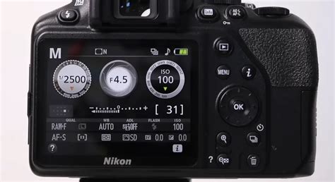 Nikon D3500 vs. Canon T7: Which is Better? - FotoProfy