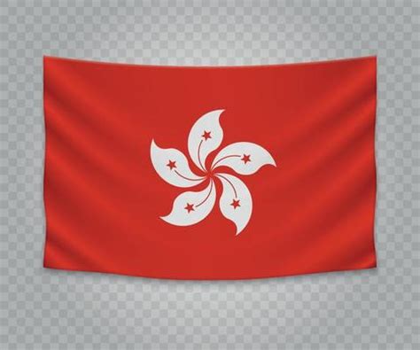 Asia Flag Vector Art, Icons, and Graphics for Free Download