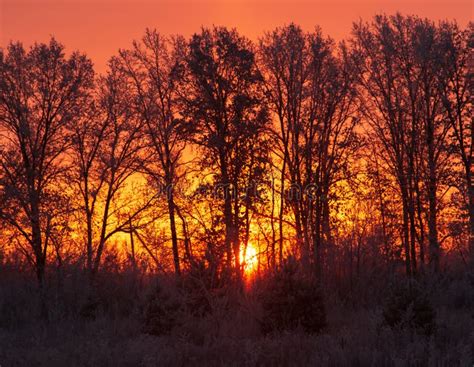 Sunrise on a Frosty Morning Stock Photo - Image of frosty, landscape: 163363202