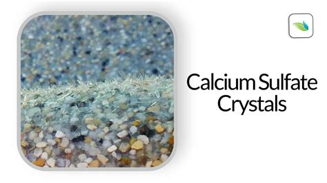 Understanding Calcium Sulfate Scale Crystals