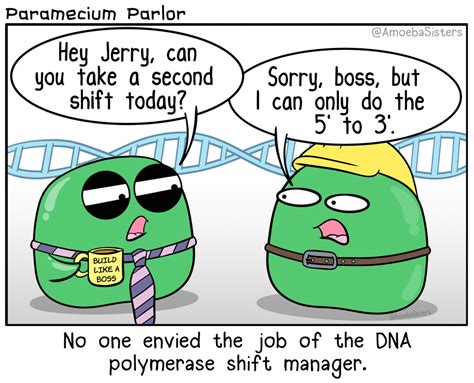 DNA Polymerase Shift Manager | Biology jokes, Biology humor, Biology memes