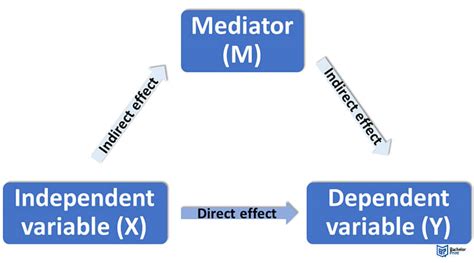 Mediator vs. Moderator Variables ~ Definition & Examples