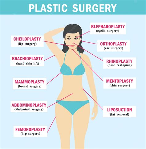 Premium Vector | Plastic surgery subspecialties plastic surgery infographics types of plastic ...