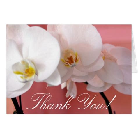 Thank You Orchids Card | Zazzle