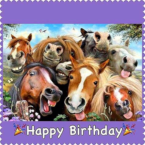 Horsing around | Happy birthday horse, Horse happy birthday image ...