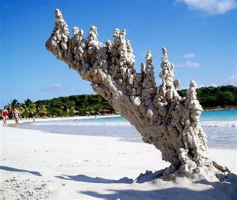 Lightning strike on a beach created this formation, known as a fulgurite, from the Latin 'fulgur ...