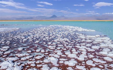 SALAR DE ATACAMA - Salar 1