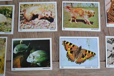 Vintage Collection of Animal Stickers, animals of the World Printed by ...