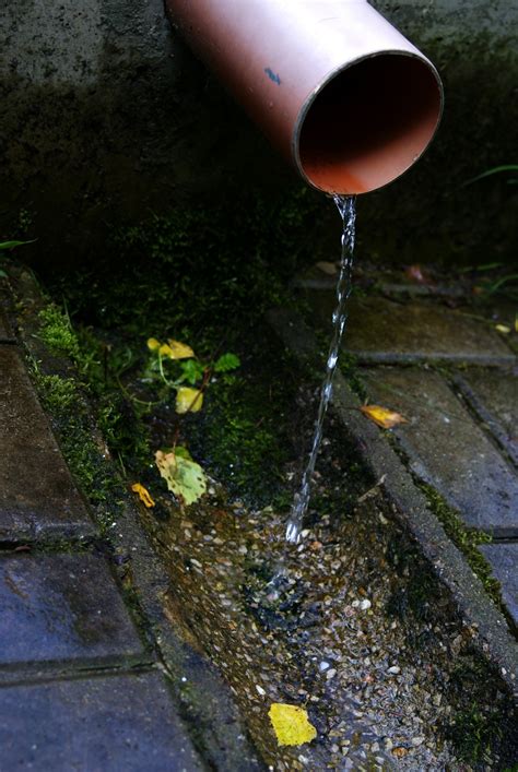 Free Images : water, nature, tube, old, river, tunnel, swim, green ...