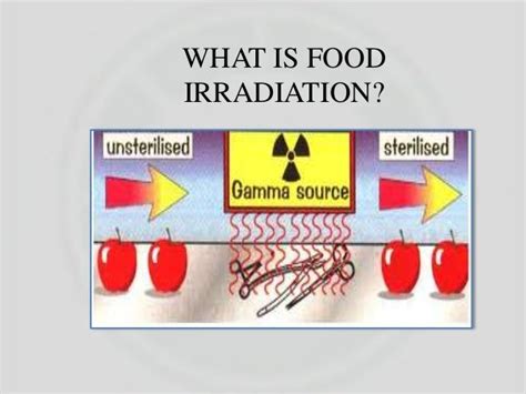 Food irradiation effect to microbial (eva n)