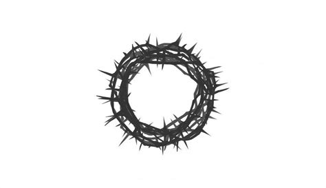 Free Stock Photo of Crown of Thorns - Symbol of Pain and Sacrifice | Download Free Images and ...