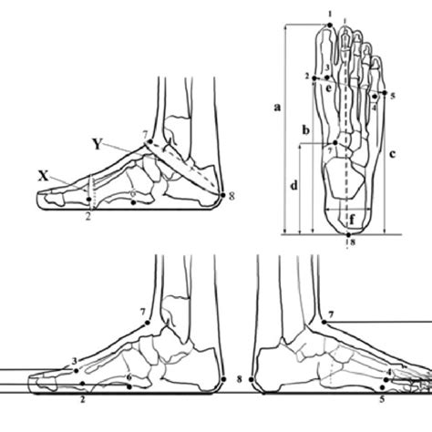 a-Foot length; b-medial ball length; c-lateral ball length; d-instep ...