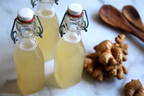 Homemade Ginger Ale Recipe