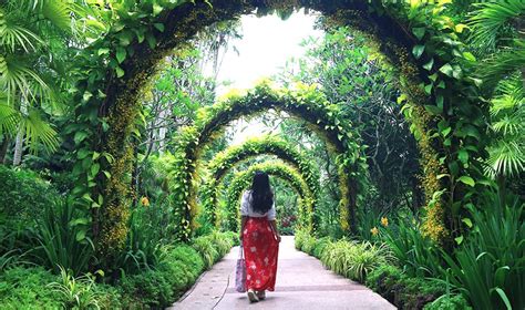 Singapore's parks and gardens for a day in the green city