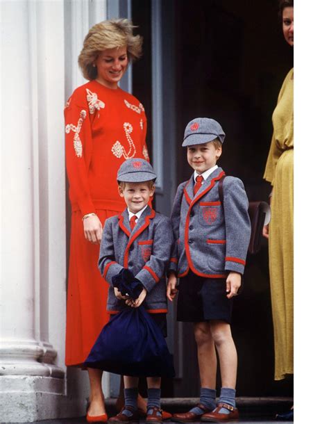 Princess Diana And Her Sons