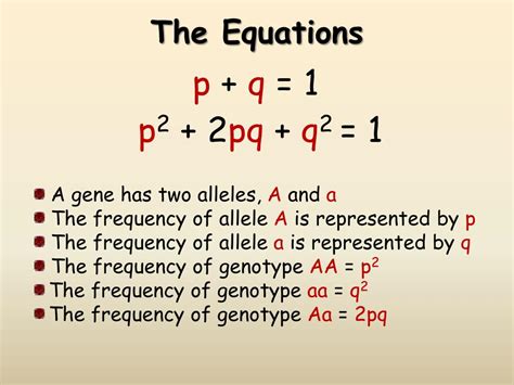 PPT - The Hardy-Weinberg Equilibrium PowerPoint Presentation, free ...