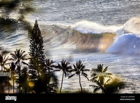 HAWAII, Oahu, North Shore, Eddie Aikau, 2016, locals surfing at Waimea ...