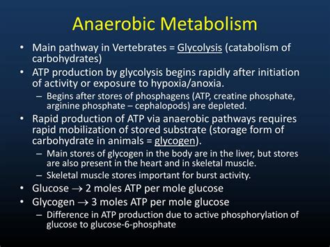 PPT - Anaerobic Metabolism PowerPoint Presentation, free download - ID:2065176