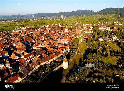 France, Haut Rhin, Alsace wine road, Bergheim, medieval walled ancient city, labelled Les Plus ...