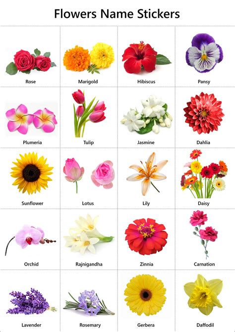 Free Printable Flowers Name Stickers
