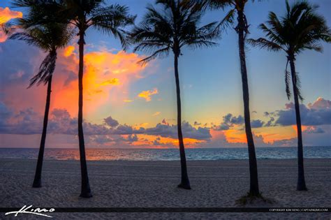 Palm Tree Sunrise Fort Lauderdale Beach | Royal Stock Photo