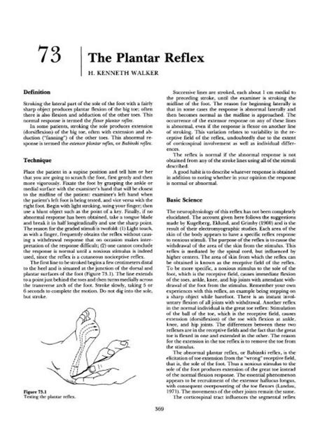 Describe the Response to the Plantar Stimulation Use Appropriate ...