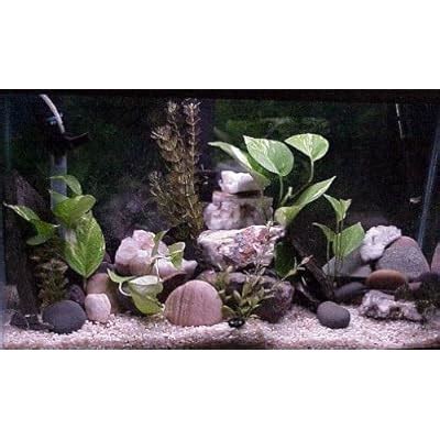 Amazon.com : 12 PC River Rock Organic Aquarium Cave Rock Decoration ...