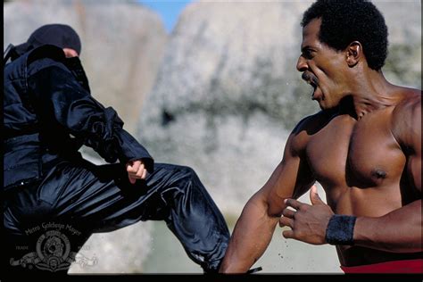 American Ninja 2: The Confrontation (1987)