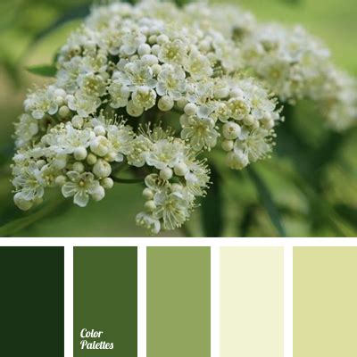 color solution for living room decor | Page 2 of 2 | Color Palette Ideas