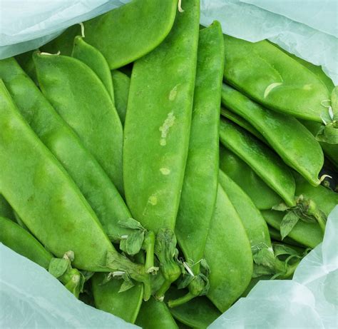 Snow Peas – Pisum sativum var. saccharatum – Cultivate to Plate