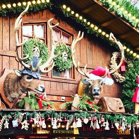 Bonn Christmas Market - 2019 All You Need to Know Before You Go (with ...