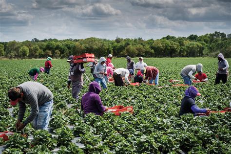 The Age of Robot Farmers | The New Yorker